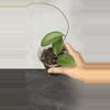 plant/Hoya fitchii x Fusco marginata-0-thumbnail