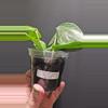 plant/Hoya polyneura silver #406-0-thumbnail