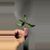 plant/Hoya Lacunosa 'Mr. Tent' Unrooted-1-thumbnail