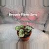 plant/Begonia Harmonys Flame Song-0-thumbnail