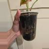 plant/5x 3.5 inch Self-watering Cup-1-thumbnail