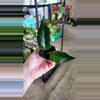 plant/Hoya Macgillivrayi-0-thumbnail