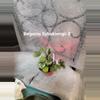 plant/Begonia Harmonys Sykakiengii-0-thumbnail