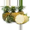 plant/Sugarloaf Pineapple starter plant growers choice-0-thumbnail