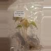 plant/Aurea Yucatan Princess and Variegated Longiloba pack-0-thumbnail