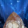 plant/Flower Agate free form- 18q-7-thumbnail