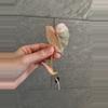 plant/Philodendron Gloriosum Variegated Type 2-2-thumbnail