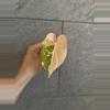 plant/Philodendron Gloriosum Variegated Type 2-0-thumbnail