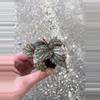 plant/Begonia Rex Jolly Silver starter plant growers choice-4-thumbnail