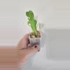 plant/Monstera Yellow Marilyn-3-thumbnail