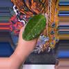 plant/Hoya EPC301 ‘Black Leaves’-0-thumbnail