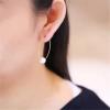 plant/S925 classic fashion earrings-3-thumbnail
