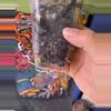 plant/Hoya LP013 (Waymaniae x Erythrina)-5-thumbnail
