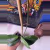 plant/Hoya LP013 (Waymaniae x Erythrina)-4-thumbnail