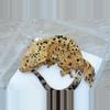 plant/T62 archer x C4 super Dalmatian female-0-thumbnail