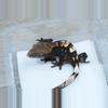 plant/T66 66% het axanthic sable male-1-thumbnail