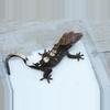 plant/T66 66% het axanthic sable male-0-thumbnail