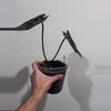 plant/Anthurium tezula crystal mag x doc block F2-1-thumbnail