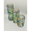 plant/Vintage Retro Glass Fruit Embossed Storage Canister Set of 3-0-thumbnail