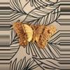 plant/10. Gold Tone Butterfly Brooch-0-thumbnail