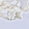 plant/White Bow Studs-0-thumbnail