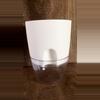 plant/Self watering plant pots! Awesome for young plants! Set of 5!-1-thumbnail