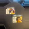 plant/Limited Edition Disney Villain Wanted Posters pins-0-thumbnail