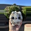 plant/Crochet Loaf Cat-0-thumbnail
