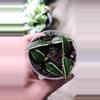 plant/Hoya bella outer variegated C-0-thumbnail