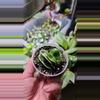plant/Hoya compacta variegated-1-thumbnail