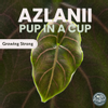 plant/Azlanii Alocasia-0-thumbnail