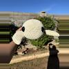 plant/Crochet Jumbo Sea Turtle-0-thumbnail