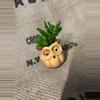 plant/Gollum Jade in Owl Pot-0-thumbnail