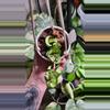plant/Hoya Mauna Loa-0-thumbnail