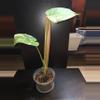 plant/Monstera Thai Constellation-1-thumbnail