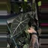plant/Alocasia black satun-1-thumbnail