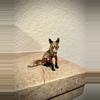 plant/Vienna Bronze SITTING FOX 2”  Cold Painted Brass Wiener miniature-0-thumbnail