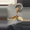 plant/CARMEL MARBLE PHILODENDRON-0-thumbnail