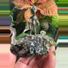 plant/Alien on RARE Pyrite and Galena with Petroleum Quartz Gems - One-of-a-kind-0-thumbnail