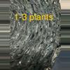 plant/Insulation for orders with 1-3 plants-0-thumbnail