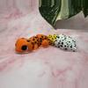 plant/Leopard Gecko (Medium)-0-thumbnail