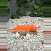 plant/Squishy, jiggly - gecko - white/orange stress relieve toy-2-thumbnail