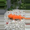 plant/Squishy, jiggly - gecko - white/orange stress relieve toy-1-thumbnail