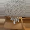 plant/Chunky Corse Perlite-1-thumbnail