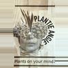 plant/Rooting service-0-thumbnail