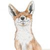 plant/Felix the Fox-0-thumbnail