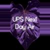 shipping_upgrade/Upgrade Shipping: UPS Next Day Air-0-thumbnail