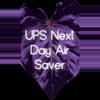 shipping_upgrade/Upgrade Shipping: UPS Next Day Air Saver-0-thumbnail