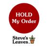 free_shipping/Hold **Up to 2 lives**-0-thumbnail