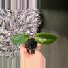 plant/Hoya SP Bur Senubung “Opop” - rooted cutting-1-thumbnail